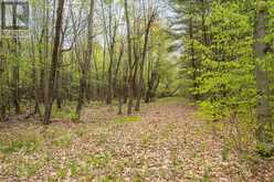 LT 16 WARRINGTON LANE | Central Frontenac Ontario | Slide Image Eleven