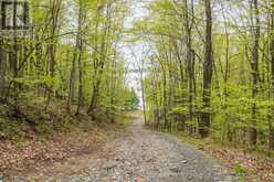 LT 16 WARRINGTON LANE | Central Frontenac Ontario | Slide Image Sixteen