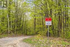 LT 16 WARRINGTON LANE | Central Frontenac Ontario | Slide Image Fifteen