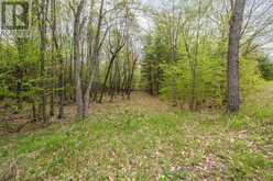 LT 16 WARRINGTON LANE | Central Frontenac Ontario | Slide Image Nine