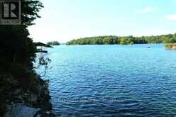 14 DOWNIE ISLAND | Leeds and the Thousand Islands Ontario | Slide Image Five