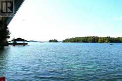 14 DOWNIE ISLAND | Leeds and the Thousand Islands Ontario | Slide Image Forty