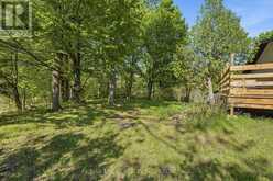 12452 ROAD 38 ROAD | South Frontenac Ontario | Slide Image Thirty-one