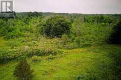 68 3RD CONCESSION ROAD | Loyalist Ontario | Slide Image Nineteen