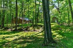 129 CROSS ROAD | Rideau Lakes Ontario | Slide Image Forty
