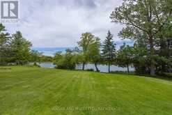 87 RIVER ROAD | Greater Napanee Ontario | Slide Image Seven