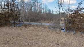 1654 BETHEL ROAD | Stone Mills Ontario | Slide Image Seventeen