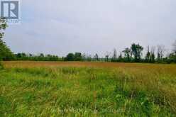 1654 BETHEL ROAD | Stone Mills Ontario | Slide Image Five