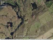 N/A CLARE RIVER | Stone Mills Ontario | Slide Image Two