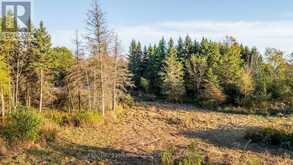00000 HIDEAWAY LANE | South Frontenac Ontario | Slide Image Thirty-one