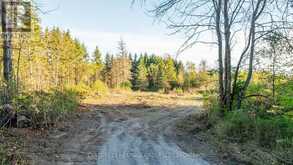 00000 HIDEAWAY LANE | South Frontenac Ontario | Slide Image Thirty-eight