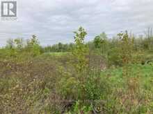 0 9TH CONCESSION ROAD | Stone Mills Ontario | Slide Image Twenty-five
