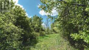 343 CHURCH ROAD | Stone Mills Ontario | Slide Image One