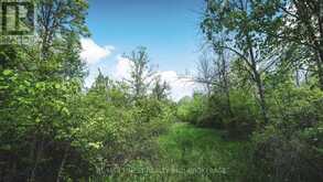 343 CHURCH ROAD | Stone Mills Ontario | Slide Image Two