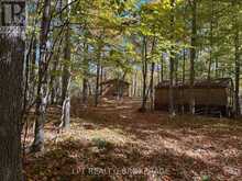 500 YVON LANE | Westport Ontario | Slide Image Thirty