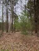 LOT 1 38 HIGHWAY | South Frontenac Ontario | Slide Image Thirty-seven