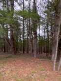 LOT 1 38 HIGHWAY | South Frontenac Ontario | Slide Image Fifteen