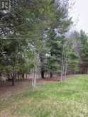 LOT 1 38 HIGHWAY | South Frontenac Ontario | Slide Image Sixteen