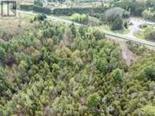 LOT 1 38 HIGHWAY | South Frontenac Ontario | Slide Image Eleven