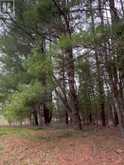 LOT 1 38 HIGHWAY | South Frontenac Ontario | Slide Image Seventeen