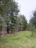 LOT 1 38 HIGHWAY | South Frontenac Ontario | Slide Image Twenty-two