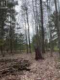 LOT 1 38 HIGHWAY | South Frontenac Ontario | Slide Image Twenty-three