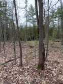LOT 1 38 HIGHWAY | South Frontenac Ontario | Slide Image Twenty-seven