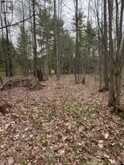 LOT 1 38 HIGHWAY | South Frontenac Ontario | Slide Image Twenty-four