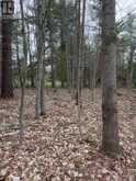 LOT 1 38 HIGHWAY | South Frontenac Ontario | Slide Image Twenty-five