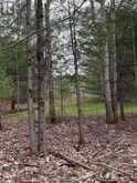 LOT 1 38 HIGHWAY | South Frontenac Ontario | Slide Image Twenty-six