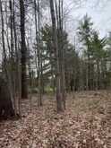 LOT 1 38 HIGHWAY | South Frontenac Ontario | Slide Image Twenty-eight