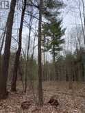 LOT 1 38 HIGHWAY | South Frontenac Ontario | Slide Image Twenty-nine