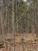 LOT 1 38 HIGHWAY | South Frontenac Ontario | Slide Image Thirty-two
