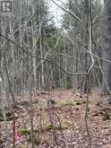 LOT 1 38 HIGHWAY | South Frontenac Ontario | Slide Image Thirty-three