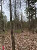 LOT 1 38 HIGHWAY | South Frontenac Ontario | Slide Image Thirty-four