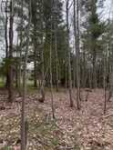 LOT 1 38 HIGHWAY | South Frontenac Ontario | Slide Image Thirty-five