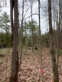 LOT 1 38 HIGHWAY | South Frontenac Ontario | Slide Image Thirty-six