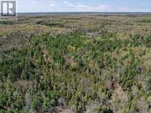 1088 KASHWAKAMAK LAKE ROAD | Arden Ontario | Slide Image Ten