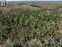 1088 KASHWAKAMAK LAKE ROAD | Arden Ontario | Slide Image Twelve