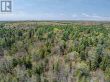 1088 KASHWAKAMAK LAKE ROAD | Arden Ontario | Slide Image Thirteen