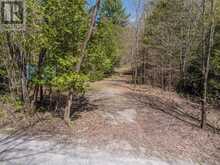 1088 KASHWAKAMAK LAKE ROAD | Arden Ontario | Slide Image Seventeen