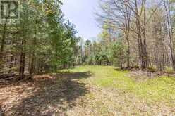 1088 KASHWAKAMAK LAKE ROAD | Arden Ontario | Slide Image Thirty-seven