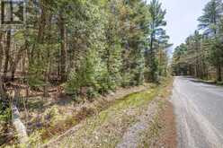 1088 KASHWAKAMAK LAKE ROAD | Arden Ontario | Slide Image Forty-nine