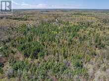 1088 KASHWAKAMAK LAKE ROAD | Arden Ontario | Slide Image Nine