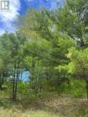 2970 MOUNTAIN ROAD | Stone Mills Ontario | Slide Image Ten