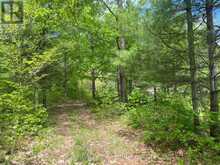 2970 MOUNTAIN ROAD | Stone Mills Ontario | Slide Image Twelve