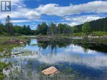 2970 MOUNTAIN ROAD | Stone Mills Ontario | Slide Image Sixteen