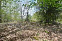 LOT 3 BALLANTRA DRIVE | Stone Mills Ontario | Slide Image One