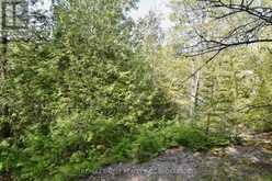 LOT 3 BALLANTRA DRIVE | Stone Mills Ontario | Slide Image Three
