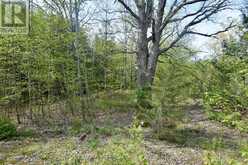 LOT 3 BALLANTRA DRIVE | Stone Mills Ontario | Slide Image Five